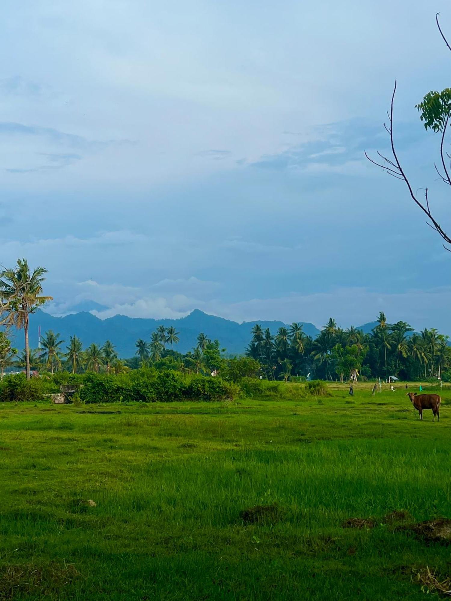Rinjani Beach Eco Resort Tanjung  Kültér fotó